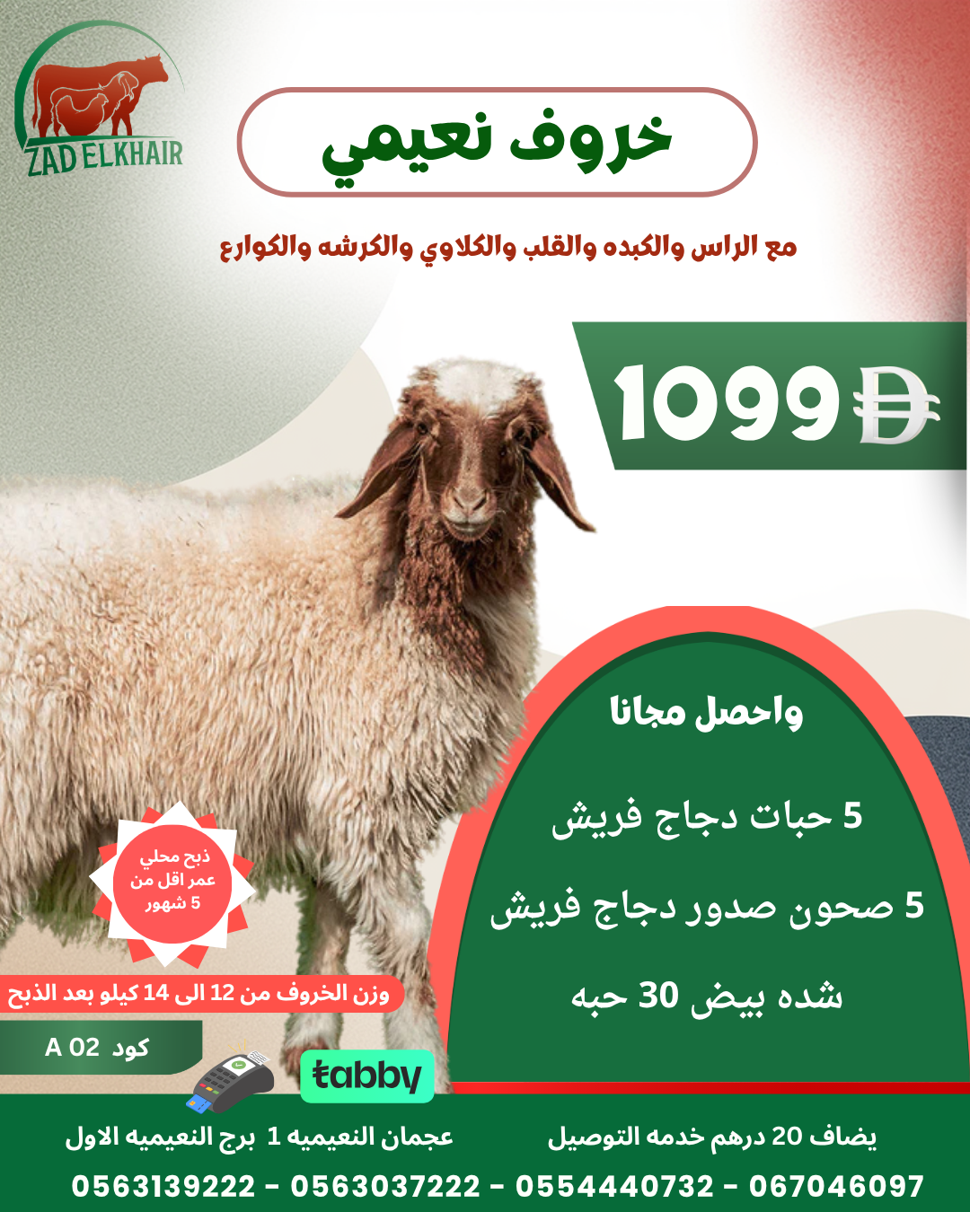 خروف نعيمي ذبح محلي كود A-02