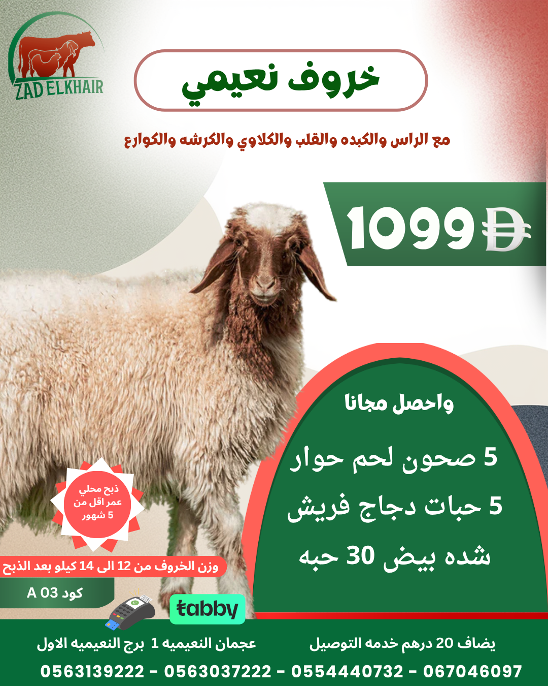 خروف نعيمي ذبح محلي كود A - 03