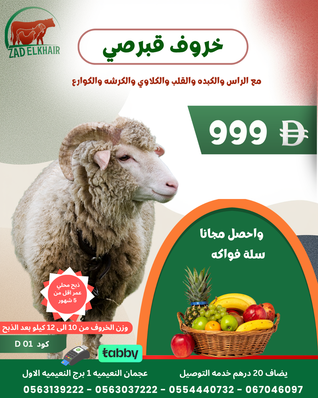 خروف قبرصي ذبح محلي كود D01