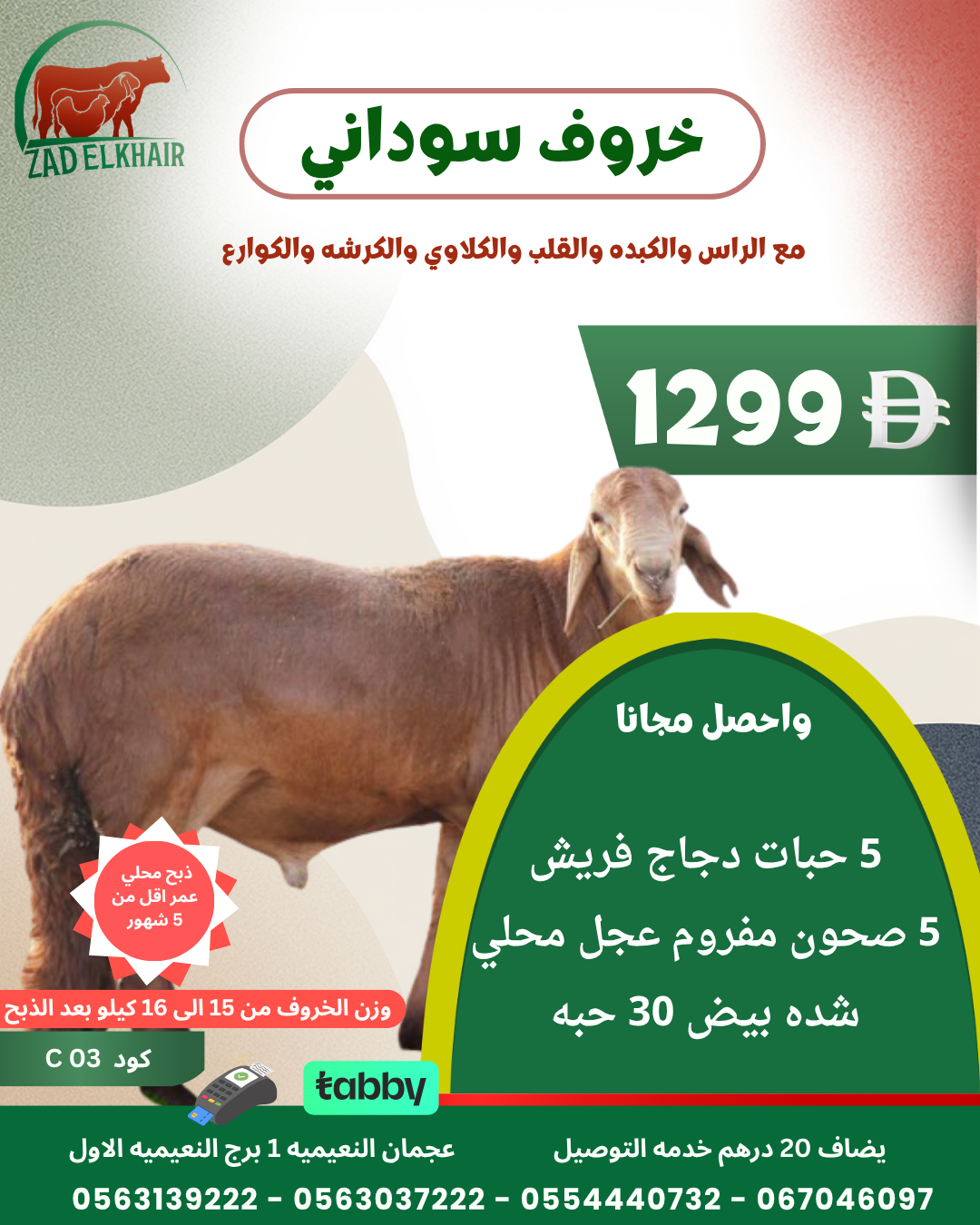 خروف سوداني ذبح محلي كود C 03