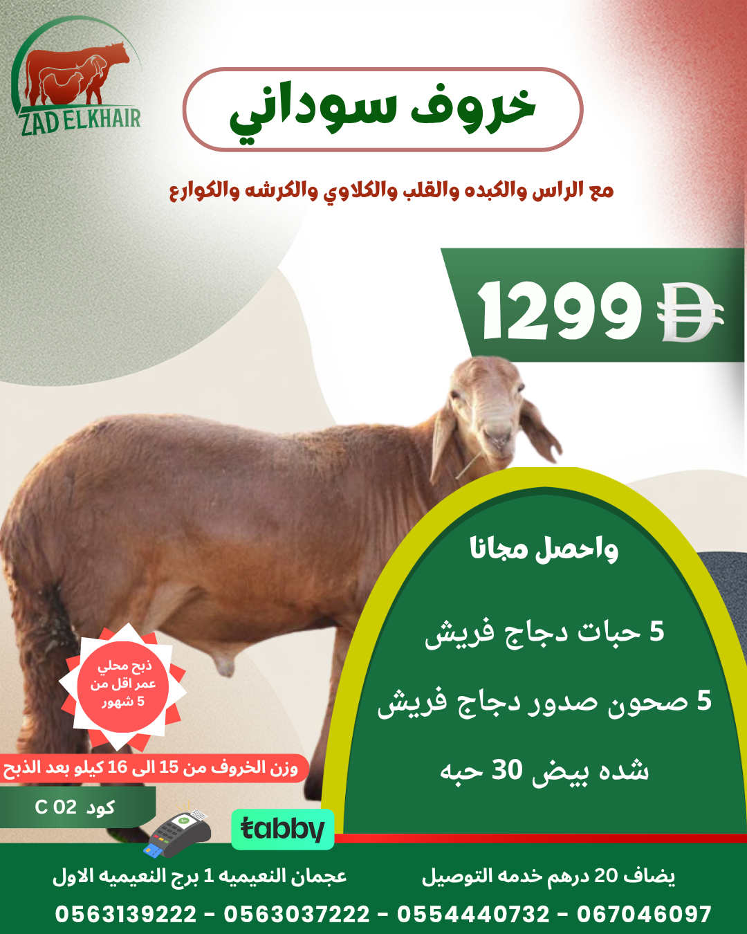 خروف سوداني ذبح محلي كود C 02