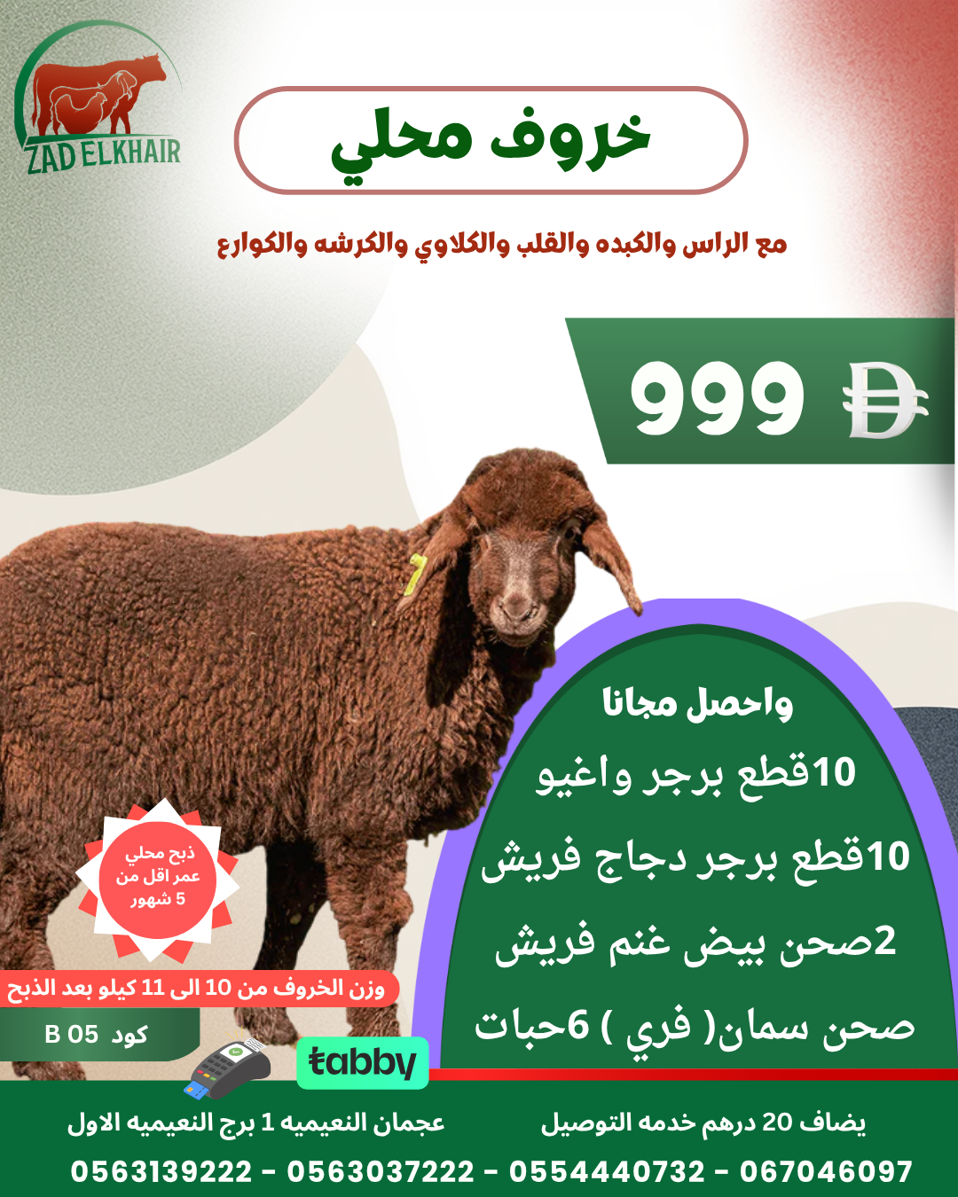 خروف محلي ذبح محلي B 05