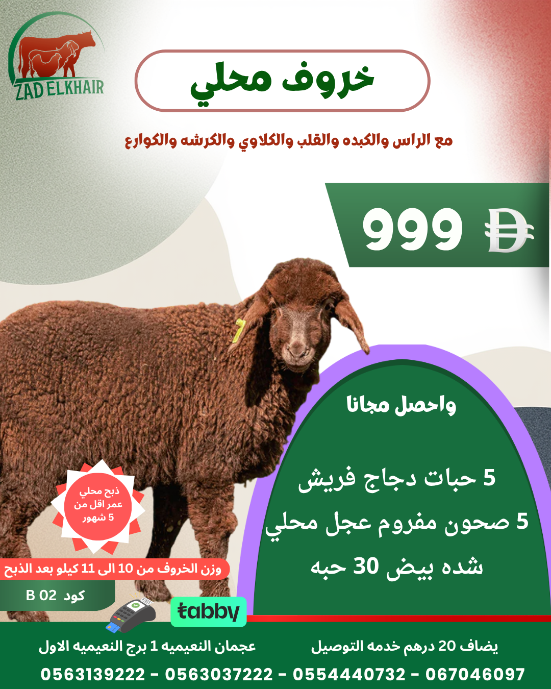 خروف محلي ذبح محلي كود B 02