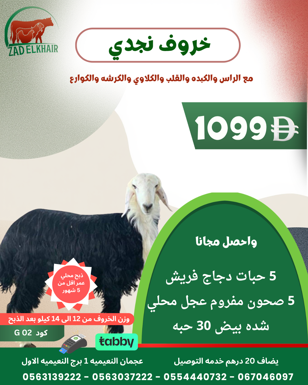 خروف نجدي ذبح محلي كود G 02