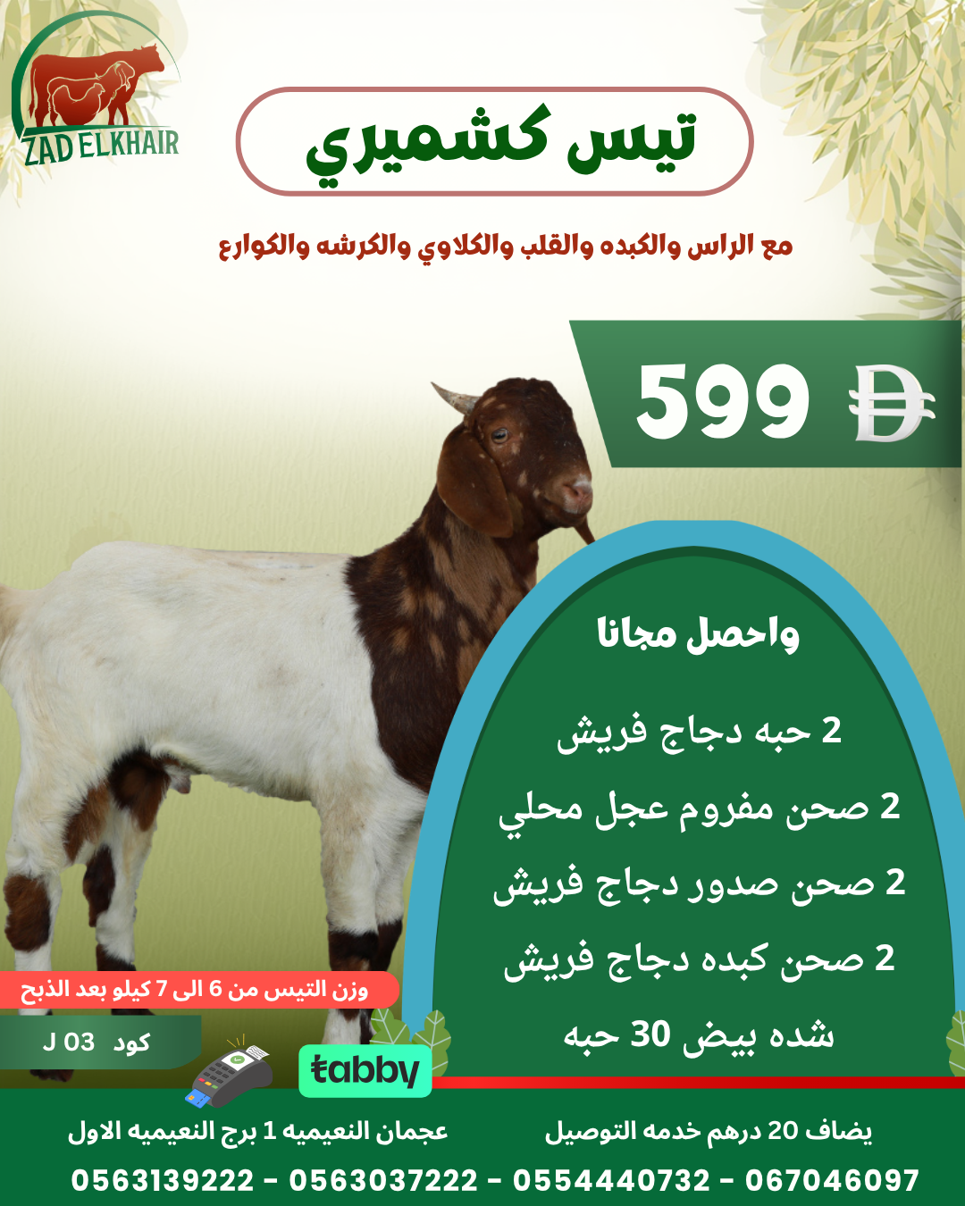 تيس كشميري ذبح محلي كود J 03