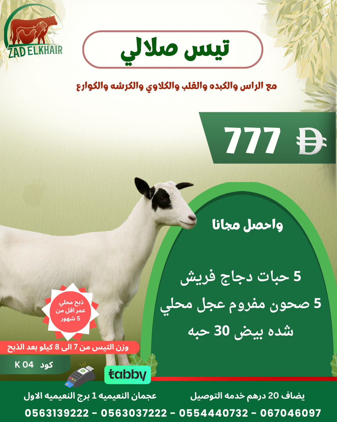 تيس صلالي ذبح محلي كود K 04